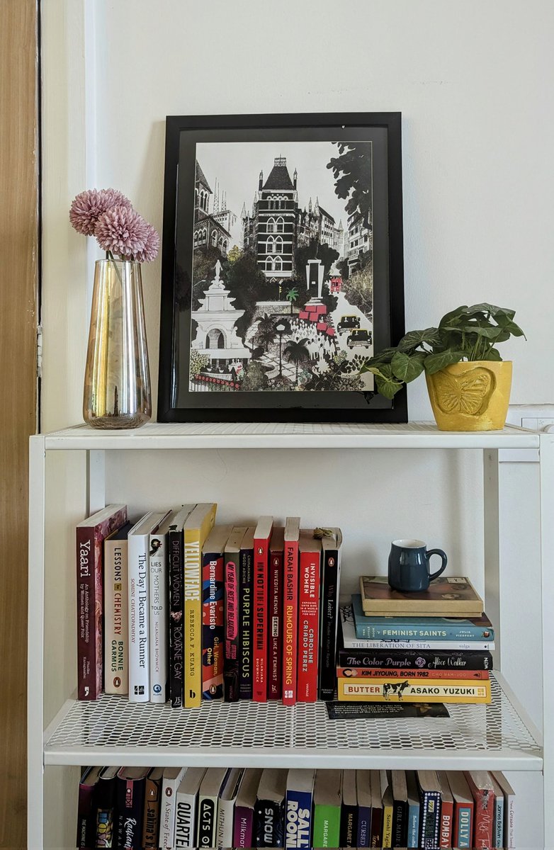 Looks like I have a whole "Women and Gender" shelf now