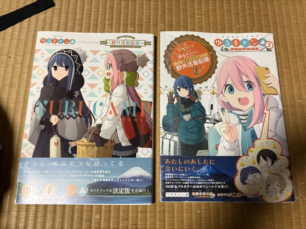 買っちった
シーズン3のが売ってなかった:( ;'꒳`;) 