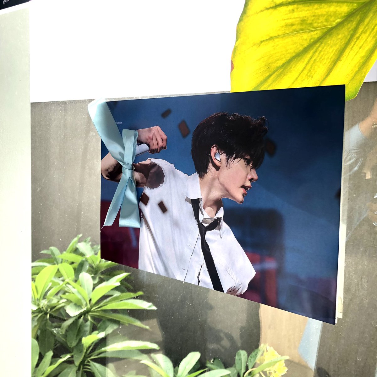 xoheejayz's tweet image. happy baekgu day ૮꒰ྀི∩´ ᵕ `∩꒱ྀིა

#PSHEnchantedRails
#1208StarsAlignedForHOON