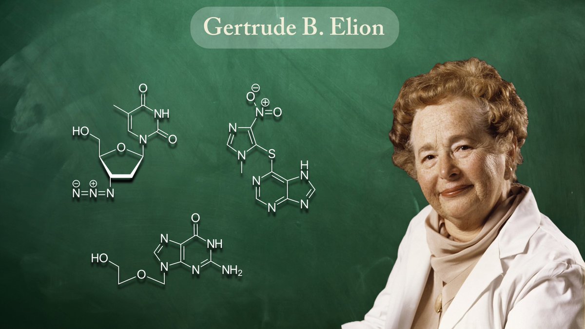 IoniaScience's tweet photo. This Scientist Sunday goes to Gertrude B. Elion (1918-1999). Elion was an American biochemist and pharmacologist, renowned for her groundbreaking work in drug development. Elion contributed to the development of a multitude of new drugs: ⬇️(1/5) https://t.co/V8vploj2ND