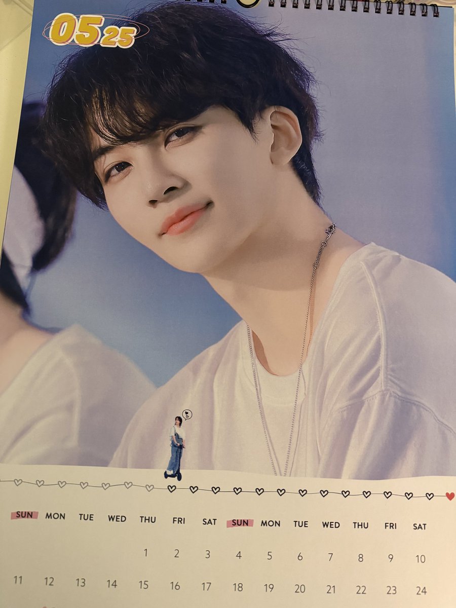 폴라포 tweet media