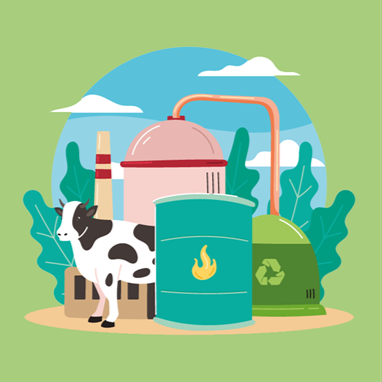 AlainSchuhl's tweet photo. Biométhanation

la startup BioUpp développe une technologie pour stocker et valoriser l’énergie issue du biométhane https://t.co/BNs9O8rmjA qui peut être simplement injecté dans les réseaux existants sans nécessiter de grandes  infrastructures nouvelles

@cnrsinnovation @CNRS https://t.co/2irPm5DXai
