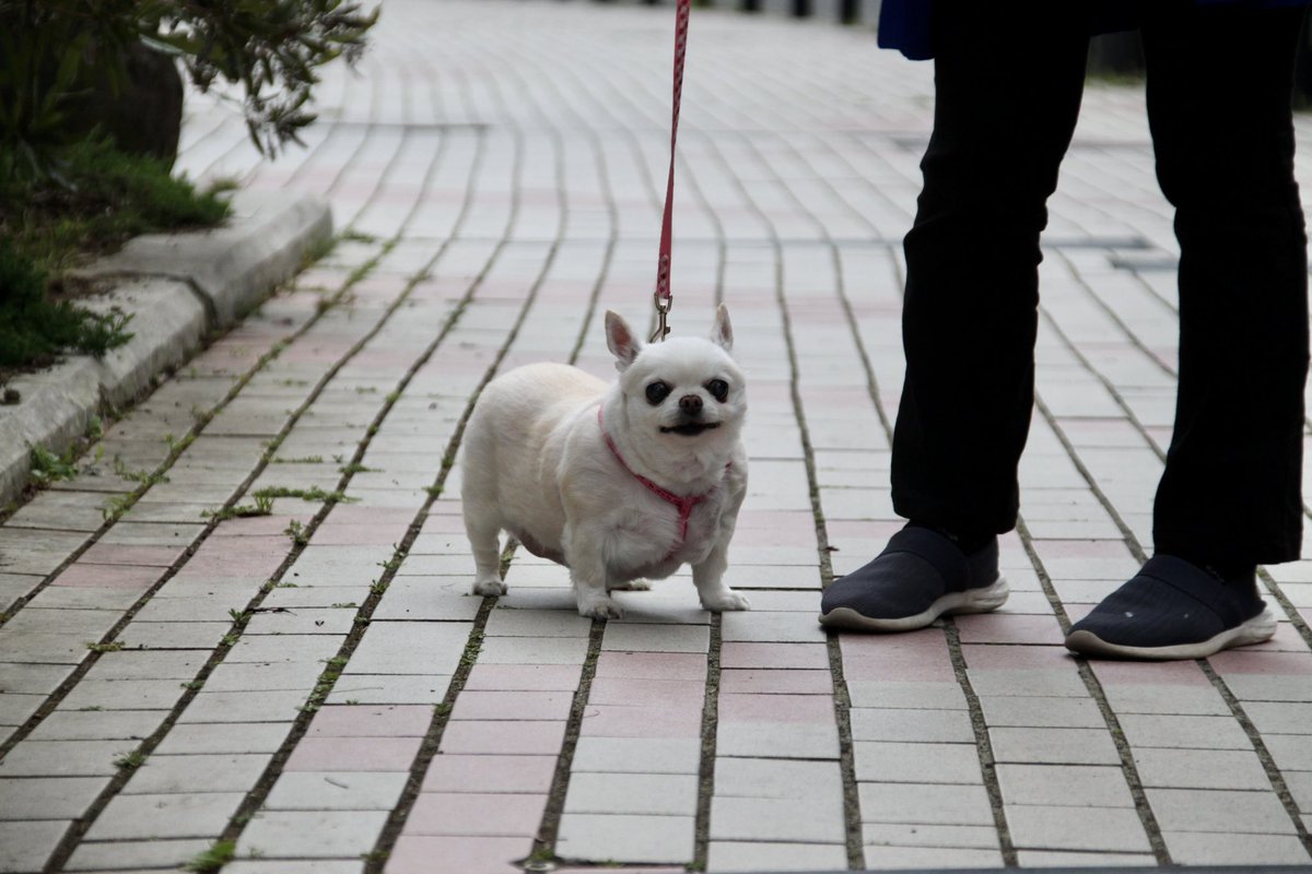 はっと tweet media