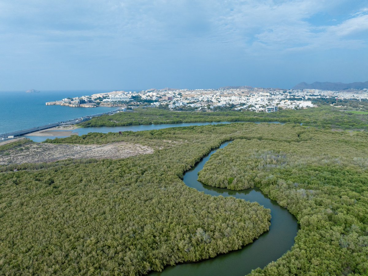 OmanNewsAgency's tweet image. وزارةُ الطاقة والمعادن تصدر قرارًا وزاريًّا بإنشاء مركز #عُمان للحياد الصفري لدعم جهود #سلطنة_عُمان في تحقيق مستهدفاتها للوصول إلى الحياد الصفري بحلول عام 2050. 

#العُمانية