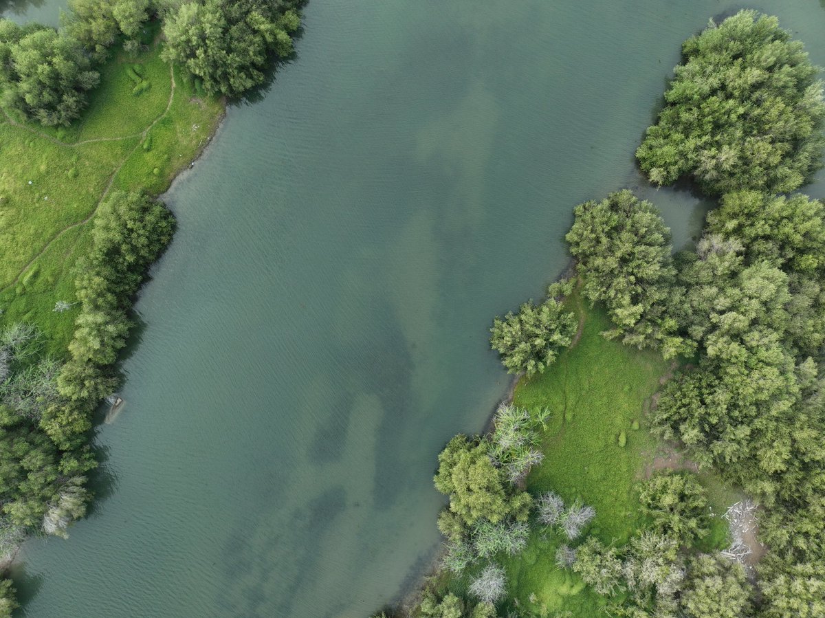 OmanNewsAgency's tweet image. وزارةُ الطاقة والمعادن تصدر قرارًا وزاريًّا بإنشاء مركز #عُمان للحياد الصفري لدعم جهود #سلطنة_عُمان في تحقيق مستهدفاتها للوصول إلى الحياد الصفري بحلول عام 2050. 

#العُمانية