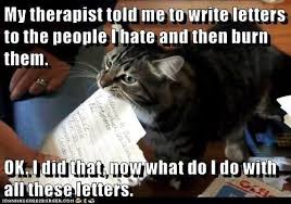 meow2you's tweet image. If anyone asks, just say that you burned your popcorn in the microwave.  😻😹😽😻
#NationalLetterWritingDay #CatsOfTwitter 

@ThePhilosopurr @GeneralCattis @HarryCatPurrs @LuminousNumino1 @TERRYW_UK @PeterRABBIT67 @briano29 @eliznoelle @EringoB02429272 @lymeist