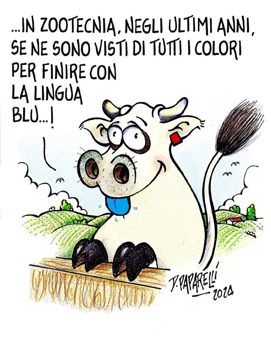 danilopaparelli's tweet photo. La #BlueTongue, la #malattia #febbrile che #colpisce gli #animali #ruminanti, ma che non #contagiosa per l’#uomo, #preoccupa gli #allevatori https://t.co/zP6ms2vHXb