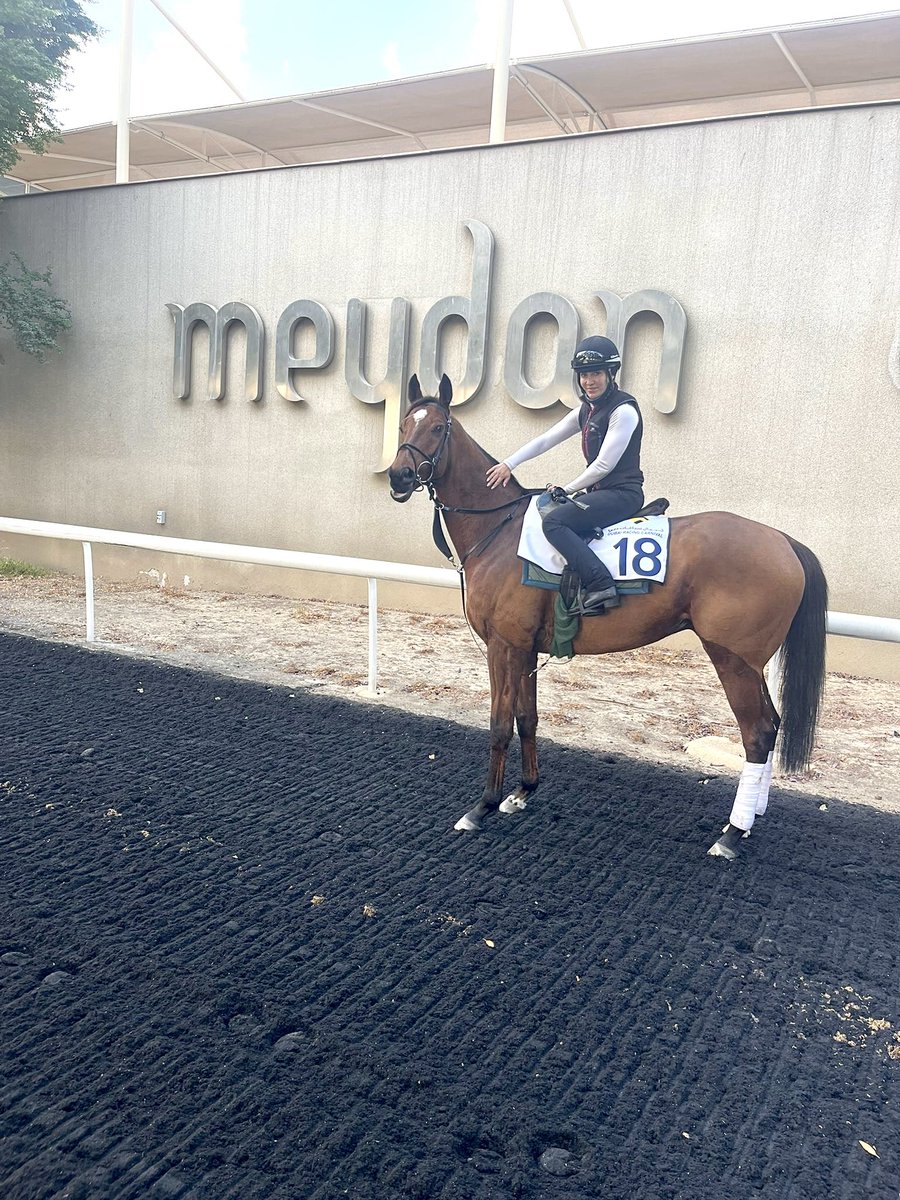 cskelly121's tweet photo. Max mayhem loving Dubai and enjoying the training track 💕 even posed for the camera 🙏 #dubai #dubairacing #dwcc https://t.co/4fLmYnPB9y