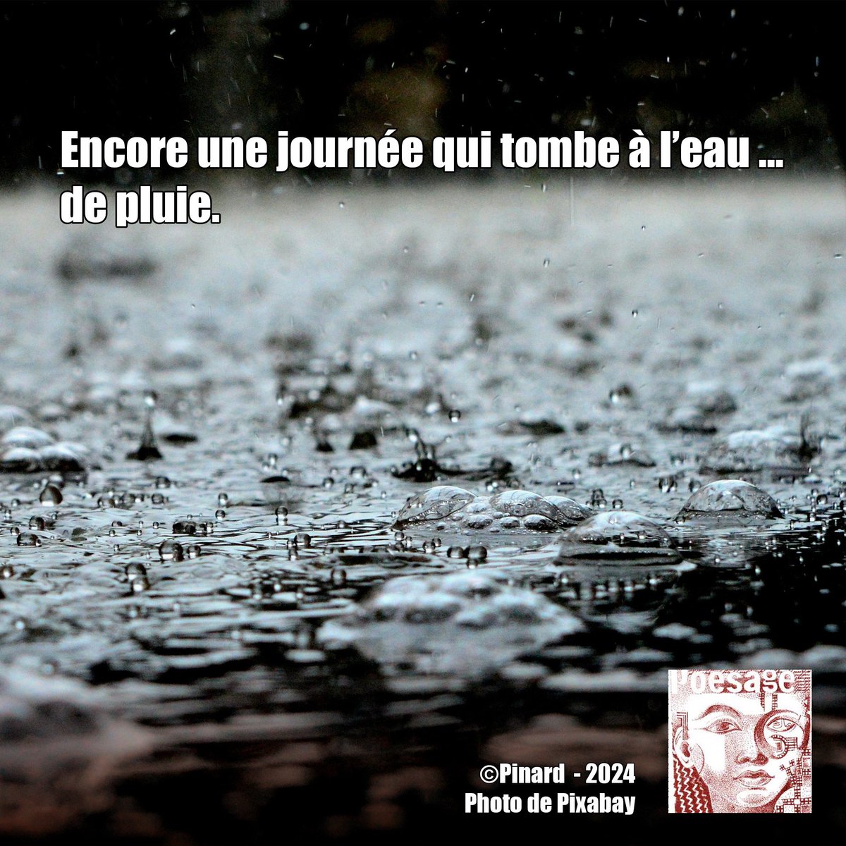 poesage_27's tweet photo. Encore une journée qui tombe à l’eau …
de pluie.
©Pinard - 2024
Photo de Pixabay
#pluie #rain #interieur #sortir #enfermer #dehors #dedans #temps #saison #eau
#poet #poeme #poem #poesie #poetry #poesieengagee #instapoem #instapoetry #ecriture #writing #poesiefrancaise https://t.co/TH3aQ0cn3f