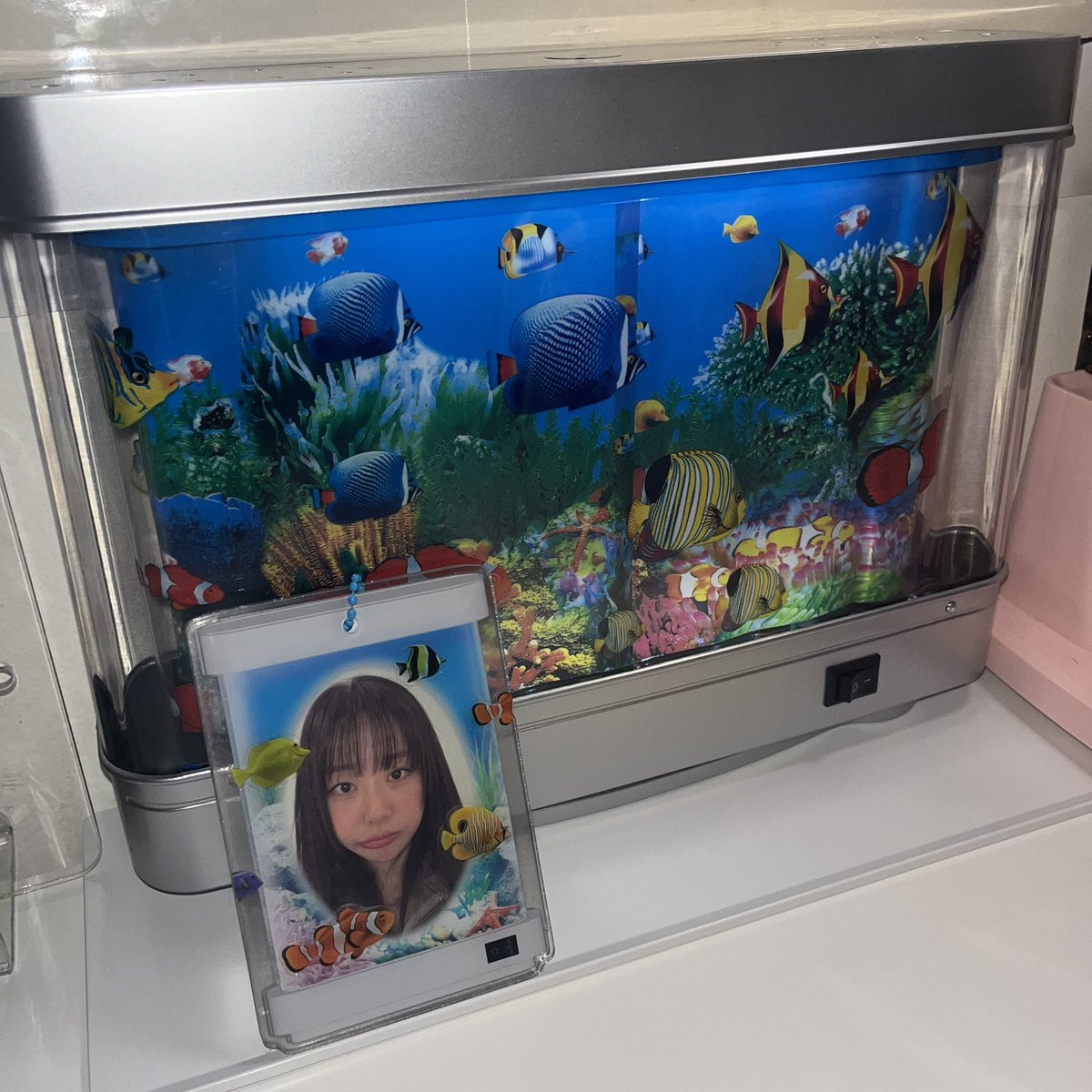 miroomf's tweet photo. 😍😍😍 https://t.co/5QLWiqO00F