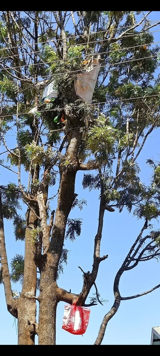 Undugu Society of Kenya tweet media