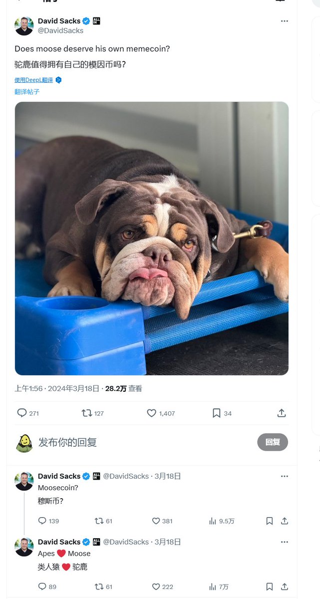 maomao8889's tweet photo. $MOOSE was born when MR. 
@DavidSacks
 shared an article on Twitter, expressing hope that his beloved pet Moose could inspire an outstanding meme coin (https://t.co/z5du1PvCmh)

On December 6th, following David Sacks’ appointment by President Trump as the “AI Intelligence & Encryption Czar” (https://t.co/M537WkdxSi)

$MOOSE on the SOL chain CA: 
(6P4yBuWs6XnFf9hwyDsHVoqP4PnKtzKkcLhm4YFTyvWz ) rose from the ashes. Its market cap surged from tens of thousands to over $8 million in a short period, with the price skyrocketing and early holders reaping massive rewards.

Currently, the market is going through a consolidation phase, providing opportunities for strategic investors. David Sacks, as an investor in Multicoin Capital, has shown strong support for $SOL and the growth of the Solana ecosystem, further solidifying the potential of $MOOSE.

Mr. David Sacks has also interacted multiple times with the Our $MOOSE official Twitter account 
@MooseCoinOnSol
, signaling promising beginnings.

So the choice is yours, never will force someone to buy but our goal as a community team is to aim the $1B MC

Let’s work together to send $MOOSE to the moon! 🚀🐶