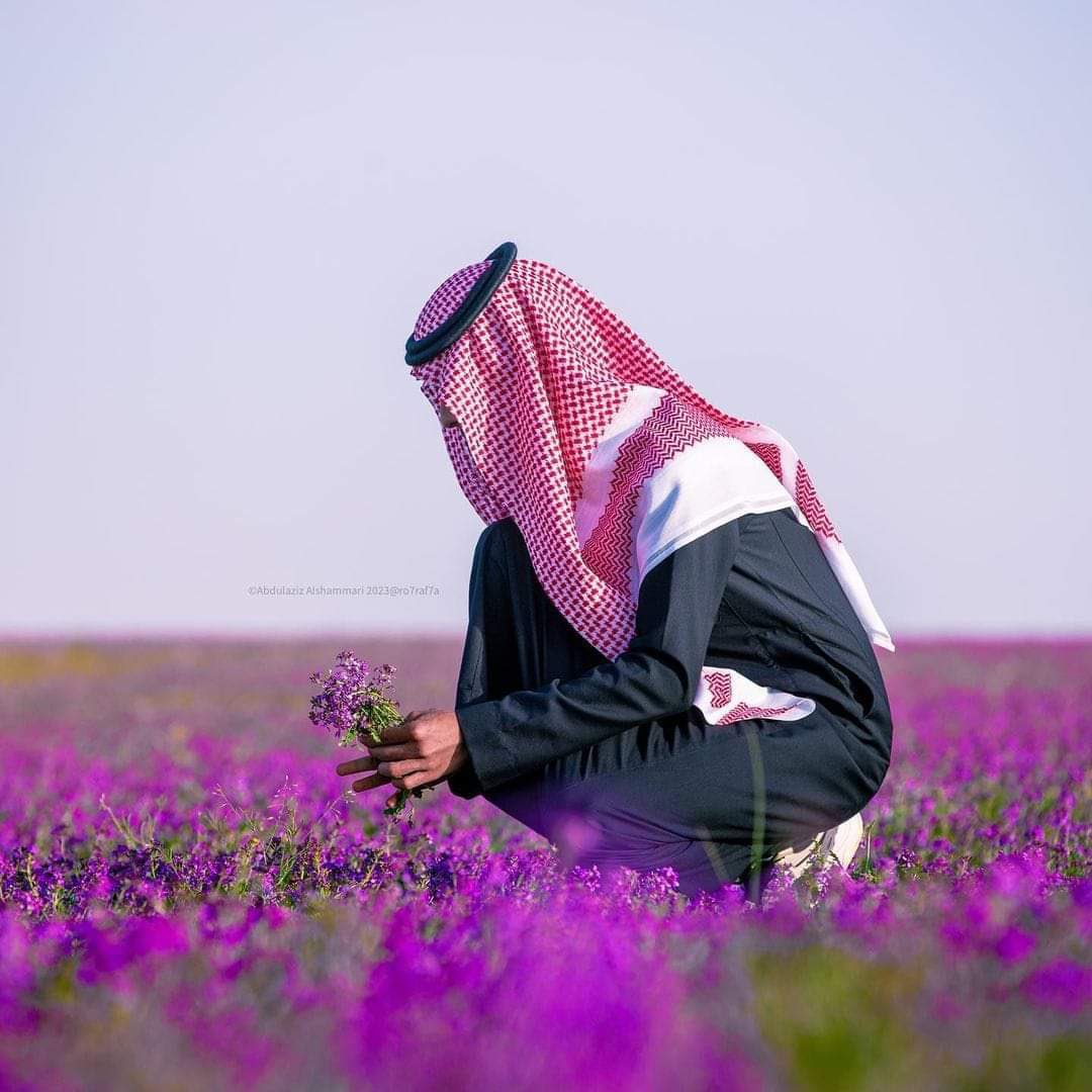 violeet30's tweet photo. الخُزامى 🪻

📍السعودية 🇸🇦 https://t.co/FOqwTwTOT8