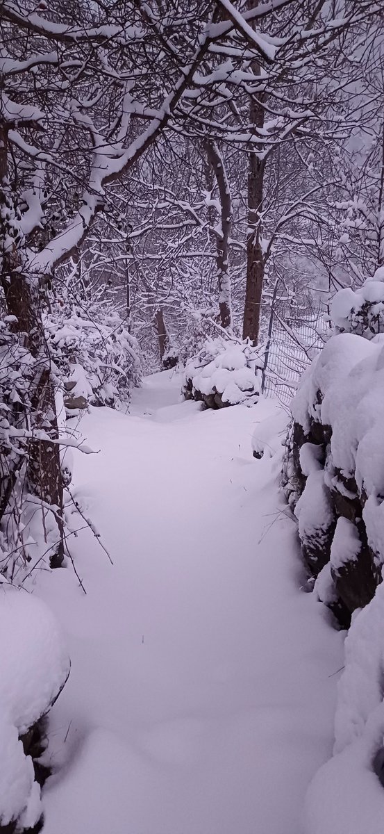 💚❤️Panticosa  8 Diciembre  2024
Winter time❄️⛷️❄️⛷️