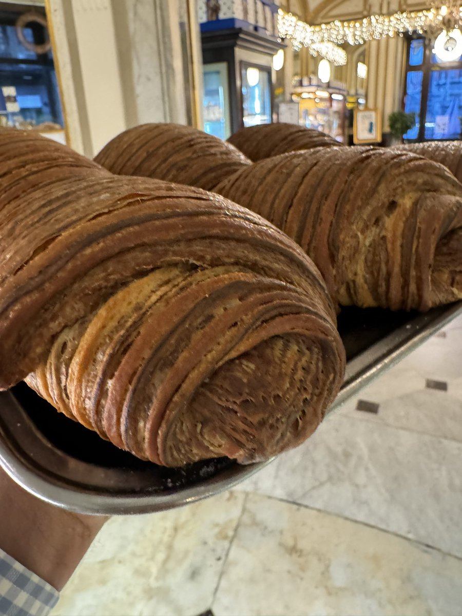 Gran Caffè Gambrinus tweet media