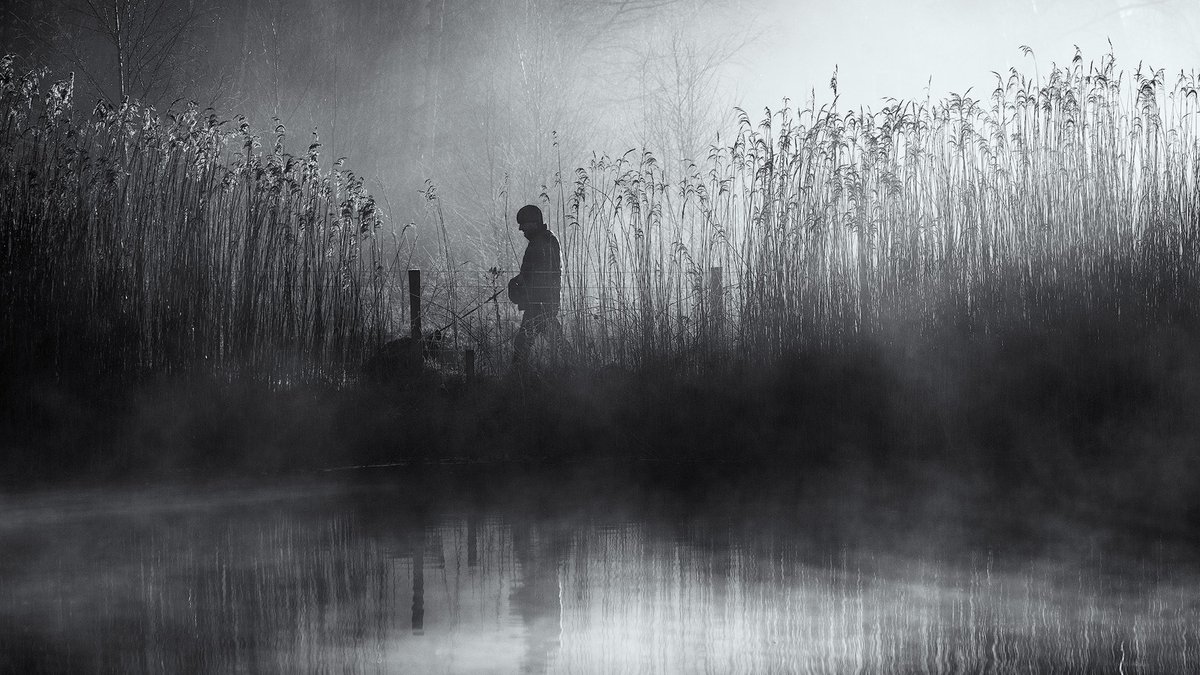 Misty conditions on the local patch. One from the archive