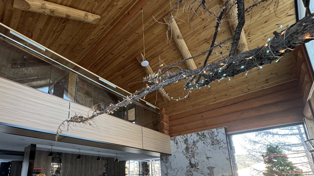 Сэтгэлтэй байрны эзэн байна шүү Энэ мөчрийг ингэж гэртээ оруулж иржээ👍