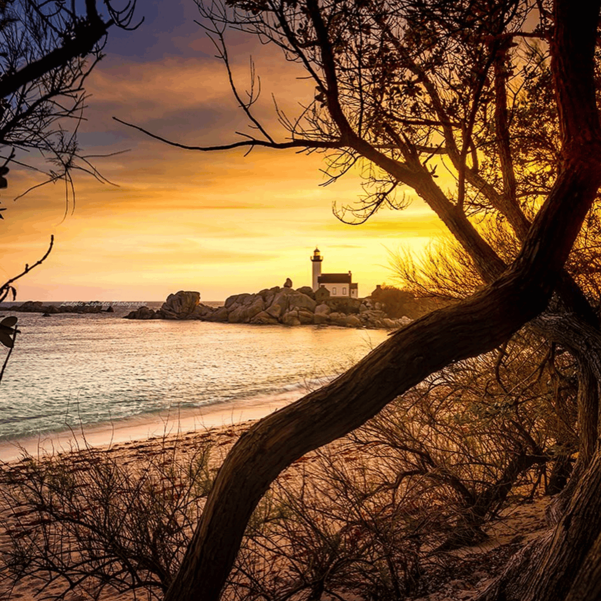 Kengo_BZH's tweet photo. Lever du jour sur le Finistère... Bon dimanche ! 🧡
Merci et bravo @ludovic_lagadec_photographe pour cette jolie 📸👉
#finistere #toutcommenceenfinistere #bretagne #pontusval #lbv #leverdesoleil https://t.co/3onRt0Mkvq