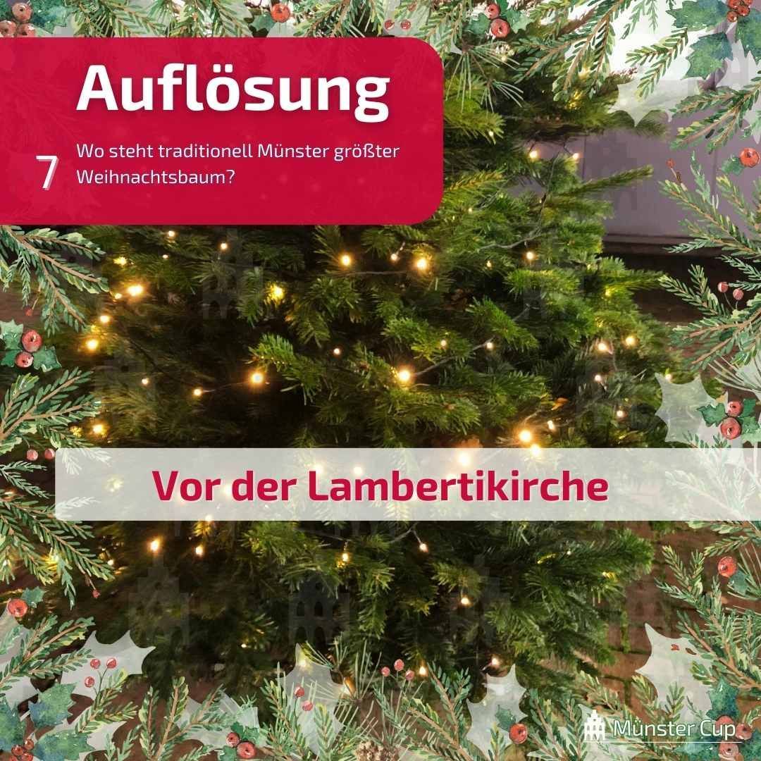 MuensterQuiz's tweet photo. 🌟 𝙳𝚎𝚛 #𝚆𝚎𝚒𝚑𝚗𝚊𝚌𝚑𝚝𝚜𝚜𝚝𝚎𝚛𝚗 𝚔𝚘𝚖𝚖𝚝 𝚞𝚛𝚜𝚙𝚛ü𝚗𝚕𝚒𝚌𝚑 𝚊𝚞𝚜 ？？？ 

💡 in seiner Heimat wächst er als imposanter 5-Meter-Strauch
💡 Alexander von Humboldt brachte diesen weihnachtlichen #Exoten 1804 nach Europa 🌿

#MünsterCup #MünsterQuiz #Münster #Advent https://t.co/6A8uxwyGn9
