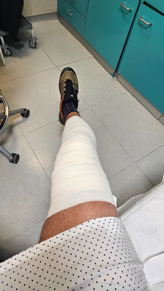 David Freeman tweet media