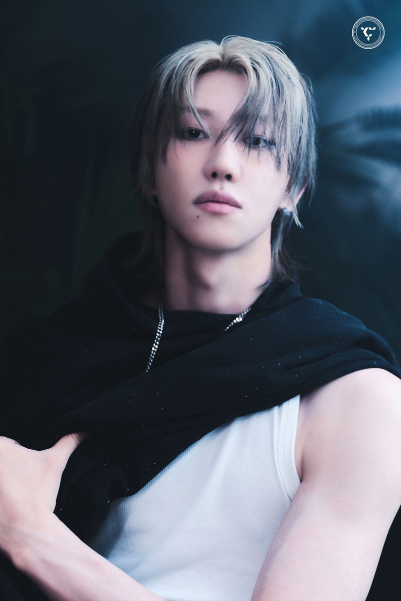 匿名配送 SEVENTEEN セブチ THE8 STARDUST 新品 SEVENTEEN THE8 Stardust Solo Album 1st Official China Exclusive