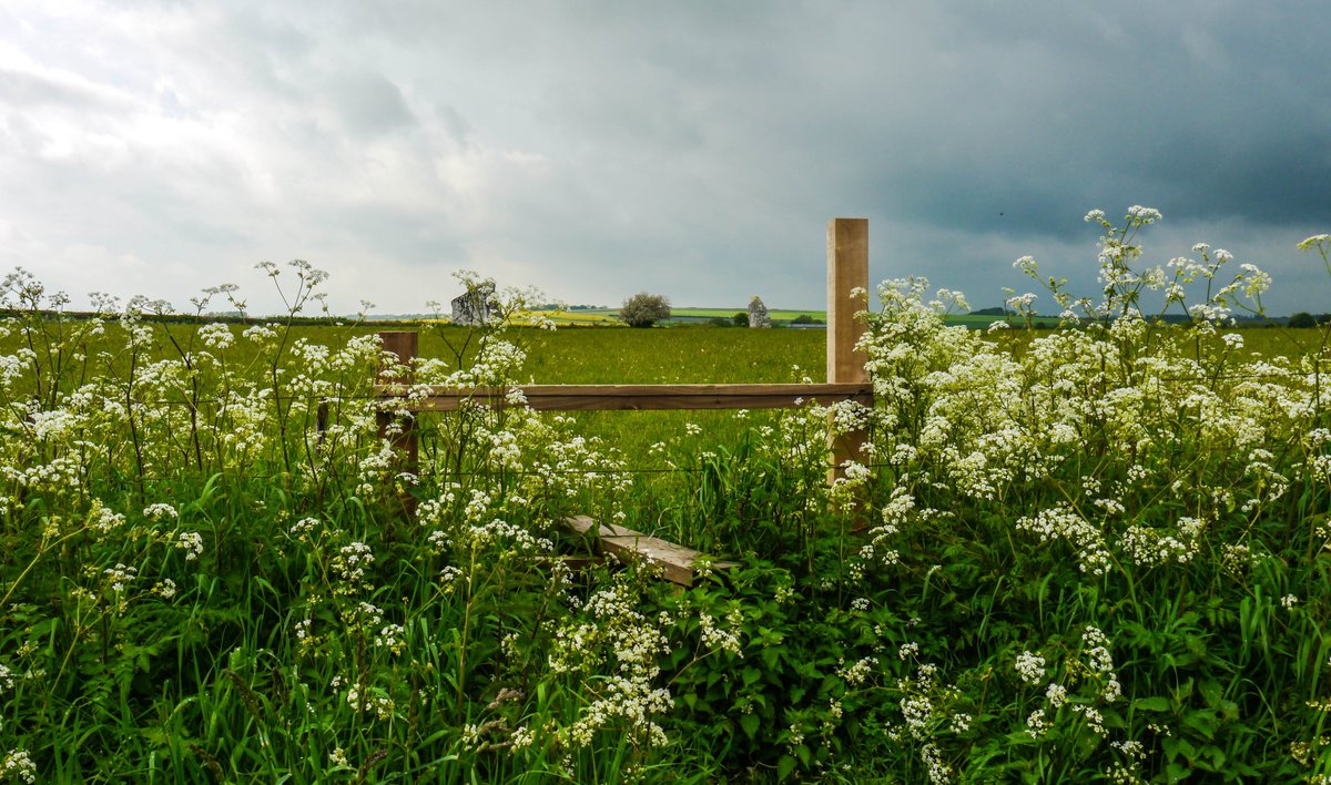 Michael Mitchell tweet media