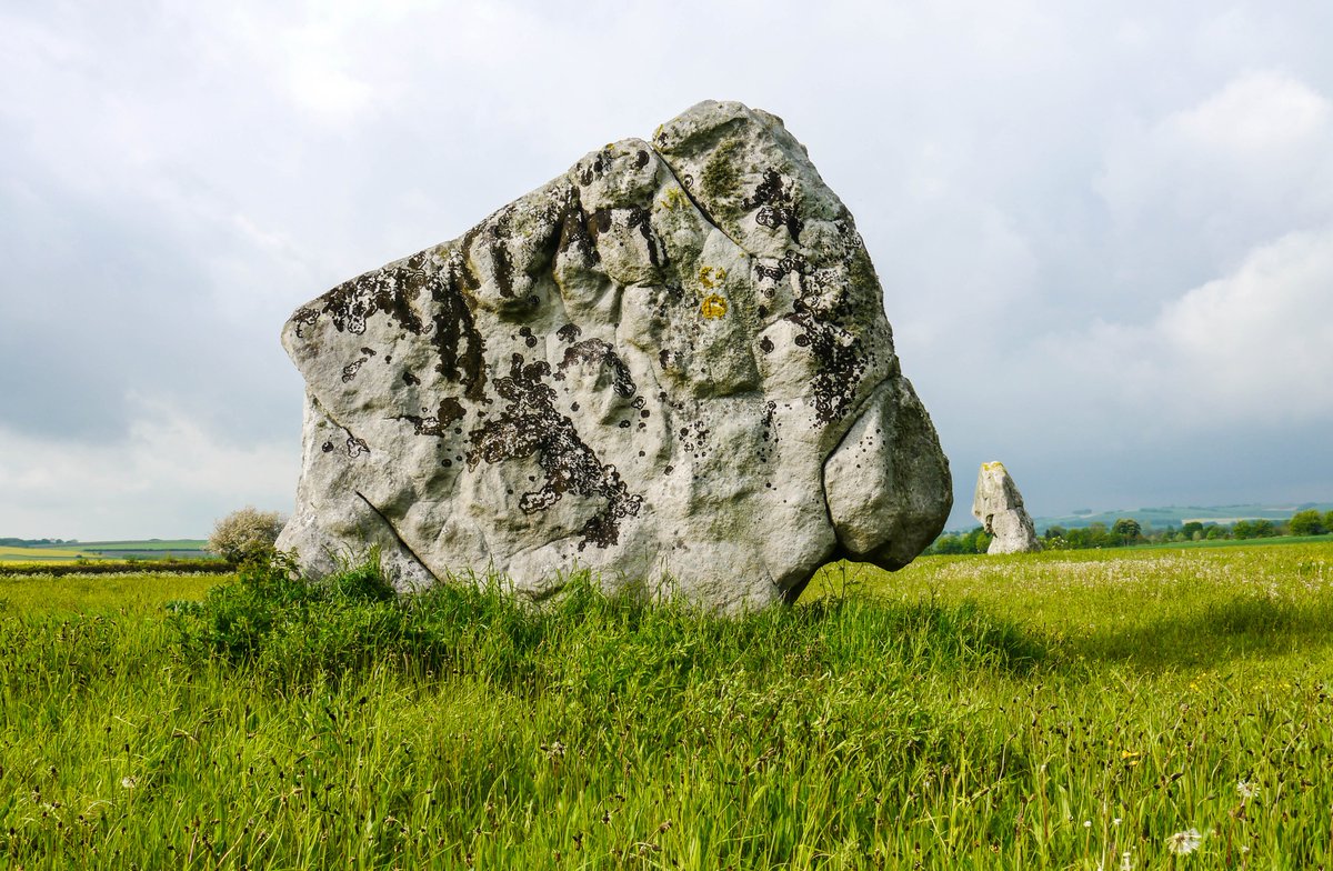 Michael Mitchell tweet media