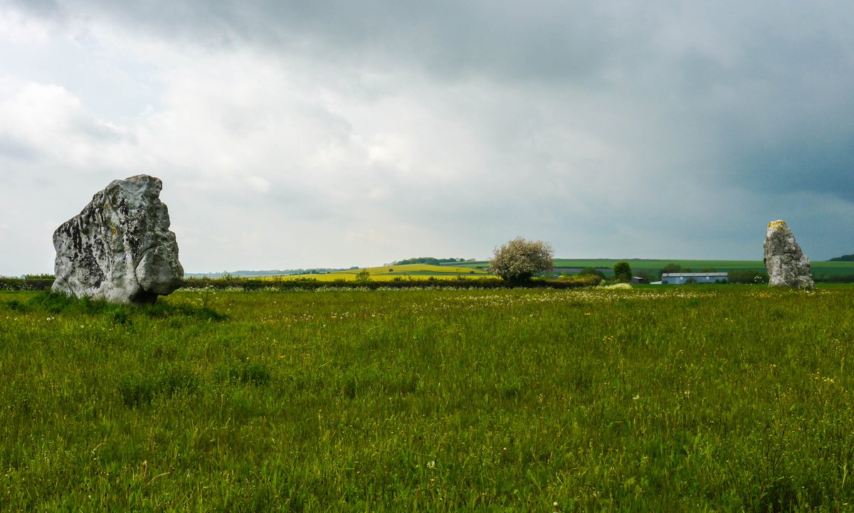 Michael Mitchell tweet media