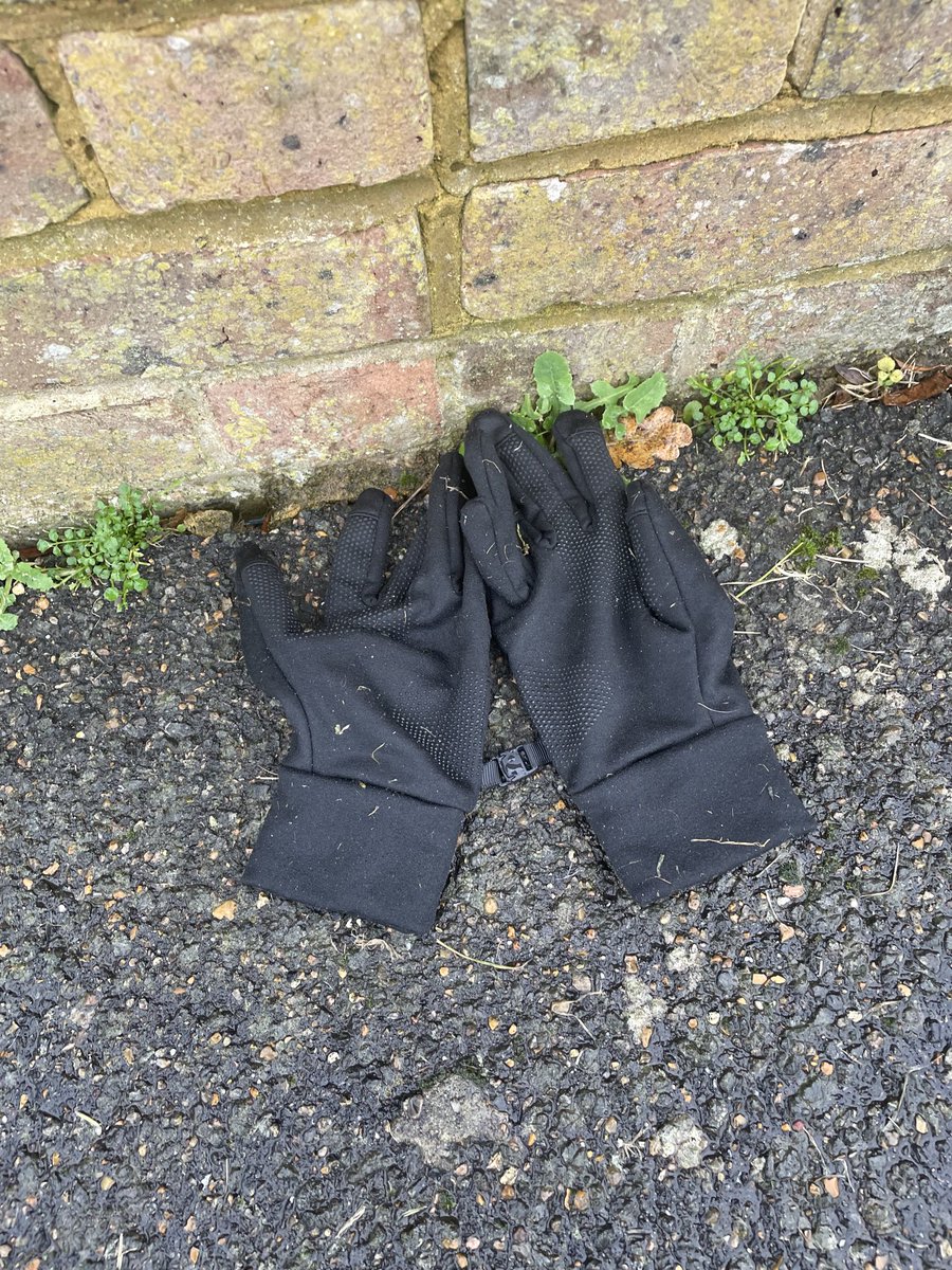 ⁦<a href="/singleglove/">lostglove</a>⁩ #Eastbourne