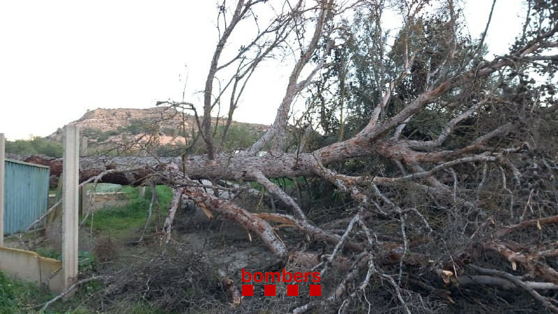 bomberscat's tweet photo. Durant la nit, des de les 00h i fins 9h del matí, #bomberscat hem atès 28 avisos d'incidències causades pel #VENTCAT. Cap de greu.
Per regions d'emergències:
#RETarragona 8
#REMSud 7
#REMLleida 3
#REGirona 3
#RECentre 2
#RETerresEbre 5
Total de tot l'episodi, des d'ahir: 888 https://t.co/UD4oekWlH6