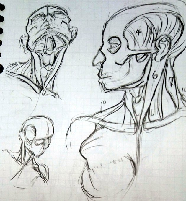 仕事おわー帰宅
疲れた……(ヽ'ω`) 