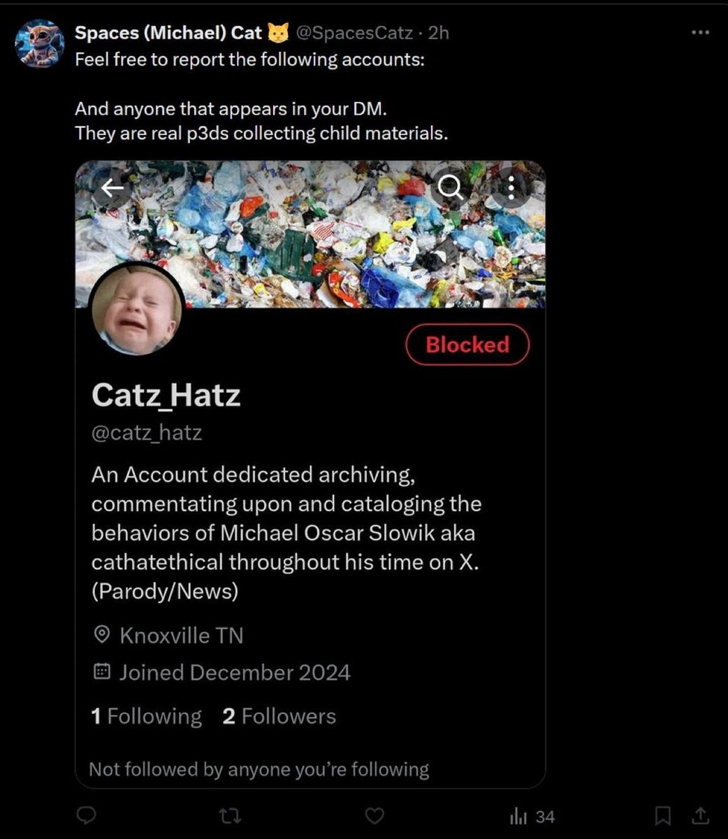 catz_hatz's tweet photo. Yet he live streamed child pornography on telegram messenger and has the audacity to claim we're the p3ds https://t.co/cDKgOZATMA