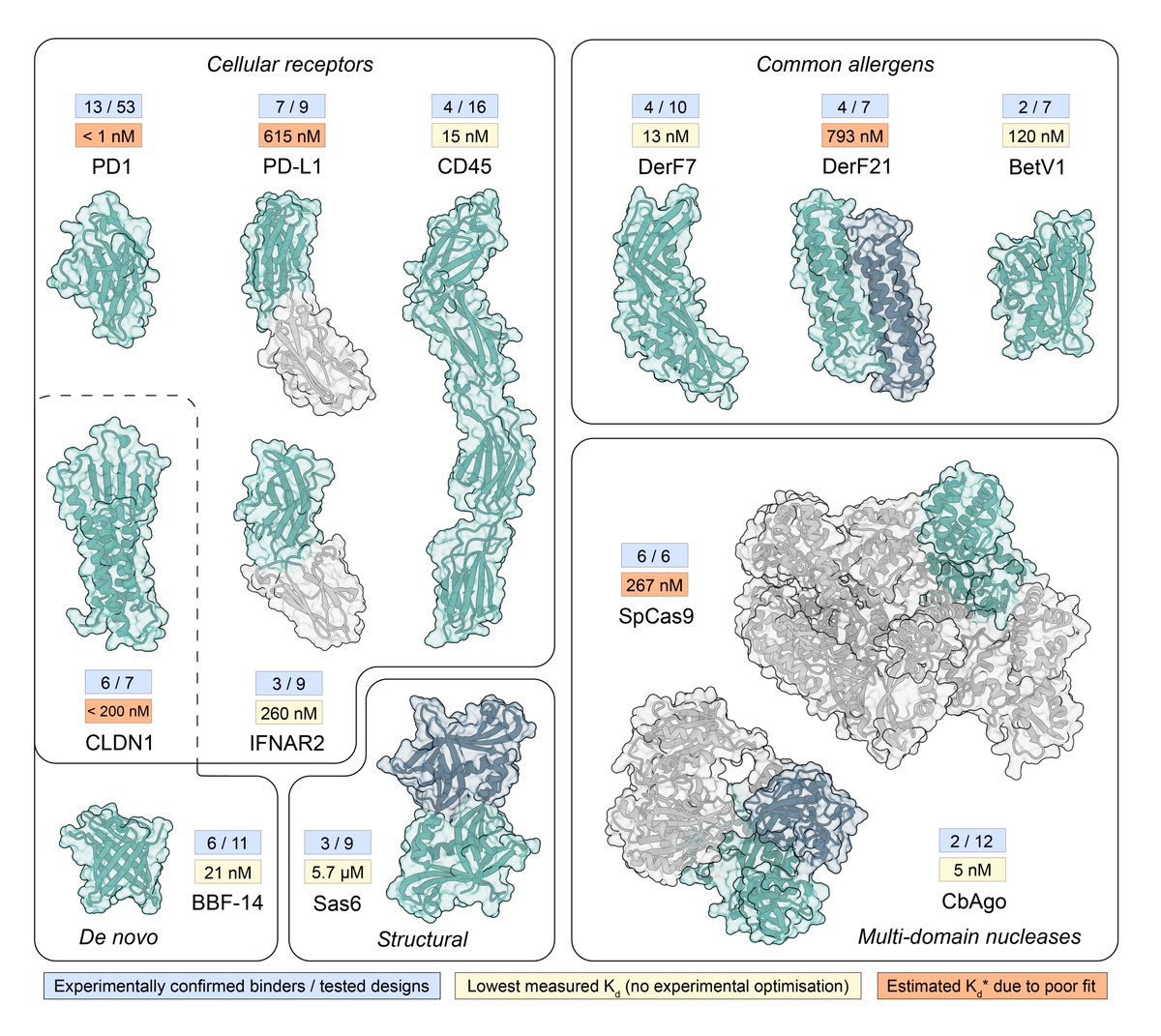 We updated our BindCraft preprint with lots of new exciting results! We release all our binder sequences and models, include more in silico analysis, novel design targets, and present AAV retargeting to specific cell types using de novo binders!
biorxiv.org/content/10.110…