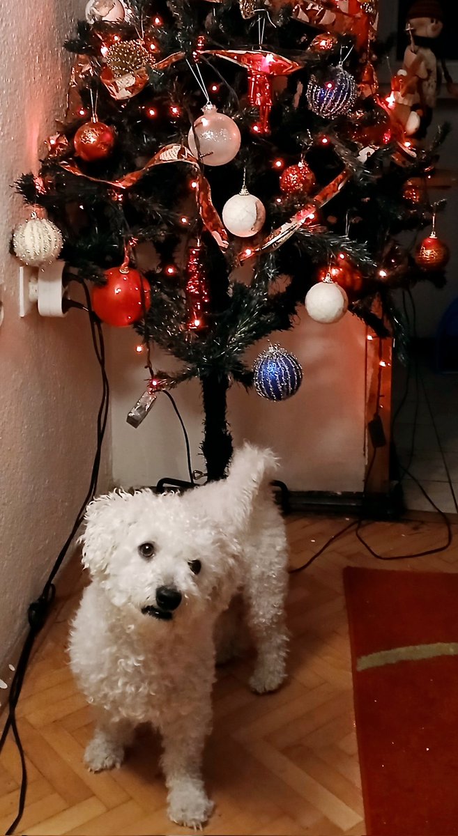 Значи хјуман алал да ти е, кај ти текна да ми стаиш вакви шарени светла у вецево, бравоооо...куууууллллл!!!!