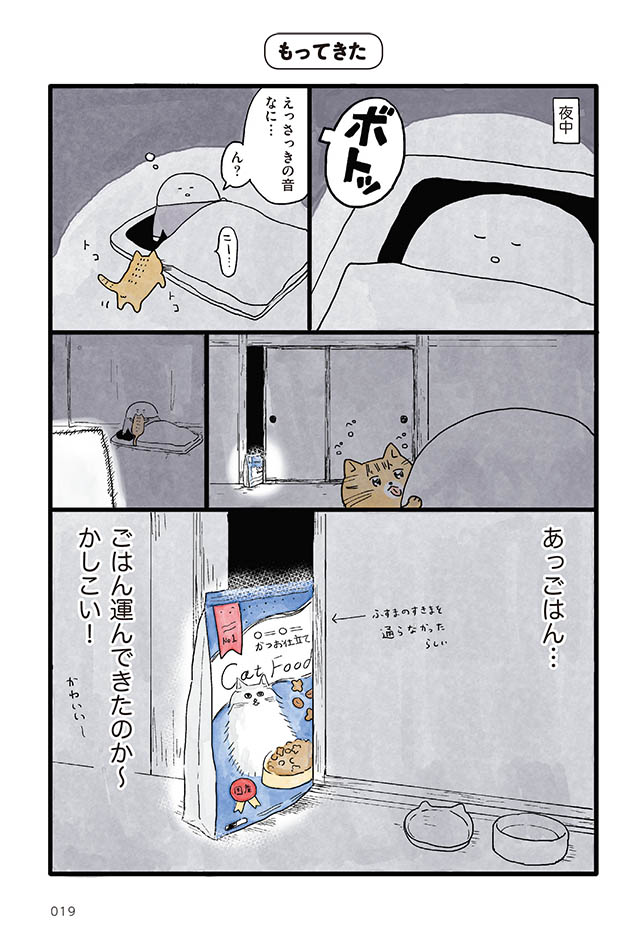 猫と暮らす毎日
(3/4) 
