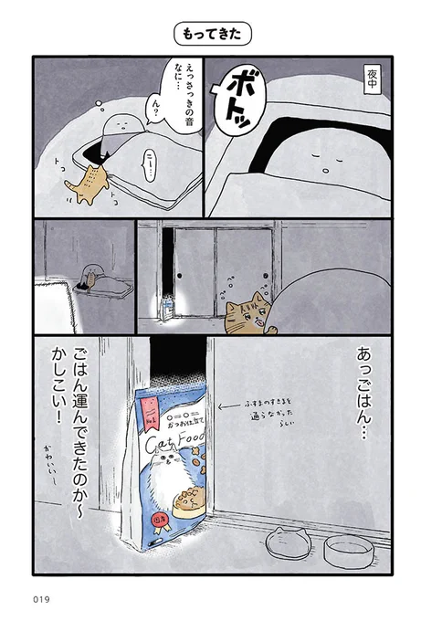 猫と暮らす毎日
(3/4) 