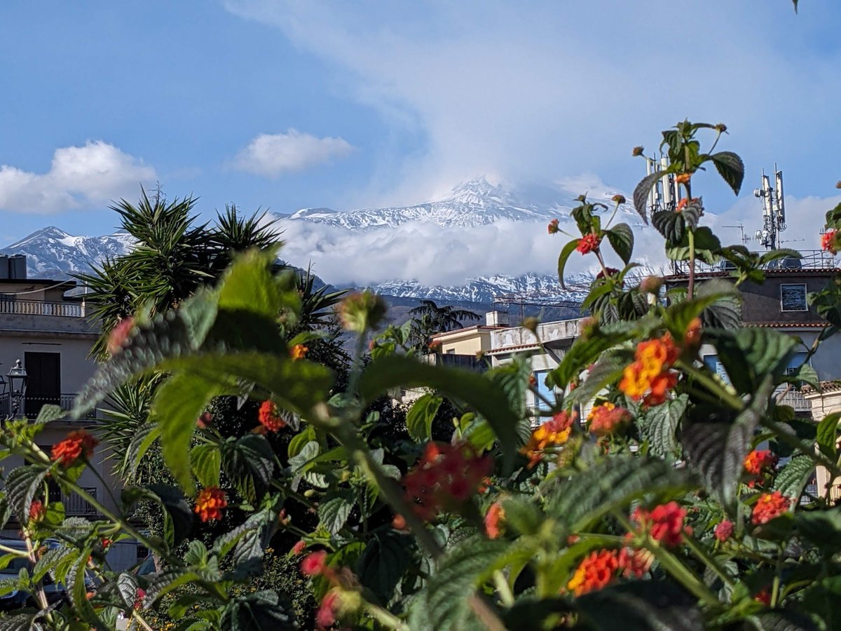 devQtro's tweet image. "Etna, that fierce mother of flames, eternal and untamed, speaks in the language of the earth’s soul, roaring her story to the skies"