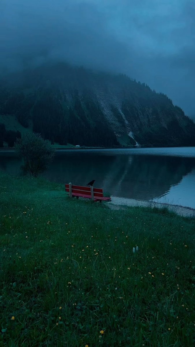 artindetails's tweet photo. the sound of silence https://t.co/Z6GVcvvDom