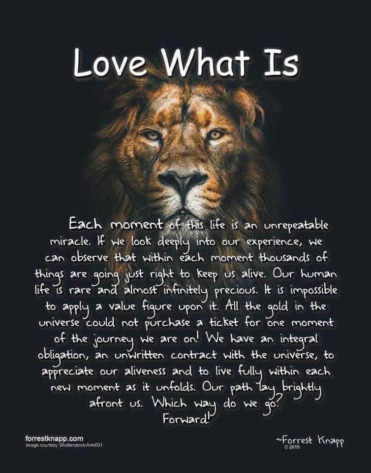 Read That Again😉👇