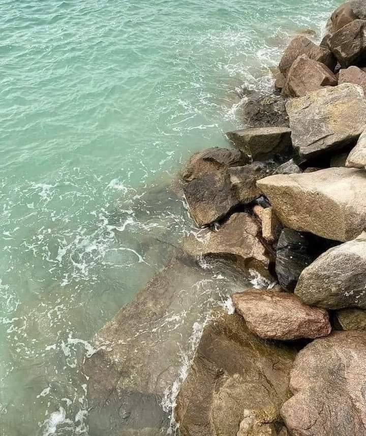 artindetails's tweet photo. free souls find the sea. https://t.co/s82Zfmvwwq