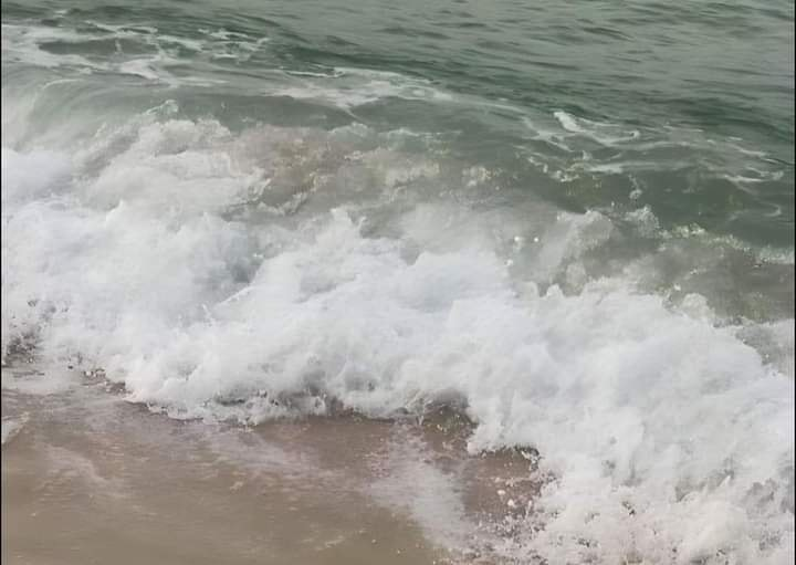 artindetails's tweet photo. free souls find the sea. https://t.co/s82Zfmvwwq
