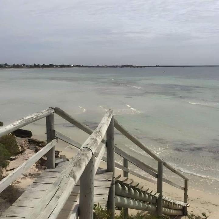 artindetails's tweet photo. free souls find the sea. https://t.co/s82Zfmvwwq