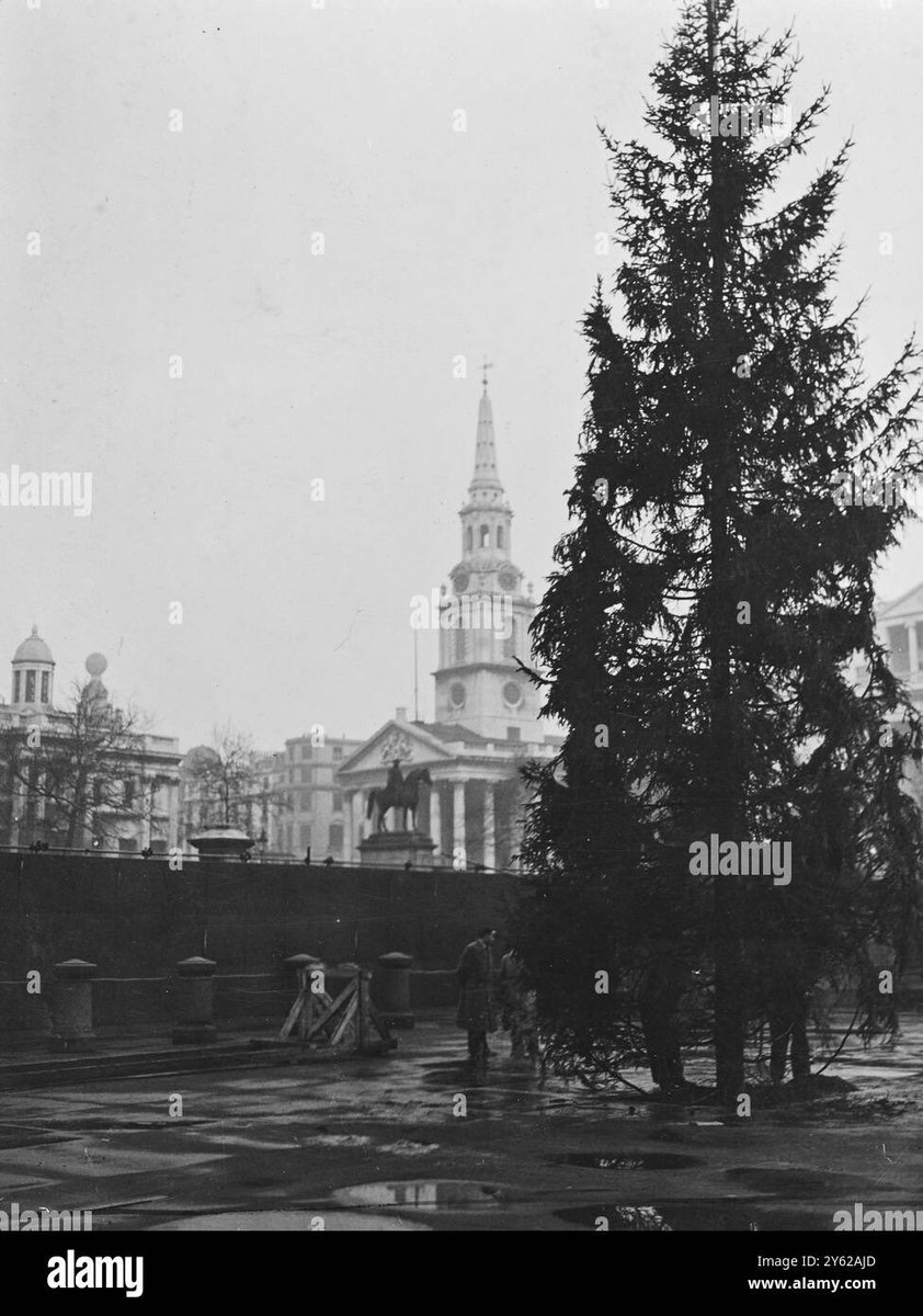 Please guys, the Trafalgar Square tree has always looked like that. 

It’s literally a gift from the Norwegians for our help in WW2. 

Can we stop shitting on absolutely everything just to cynically drum up anger on social media.