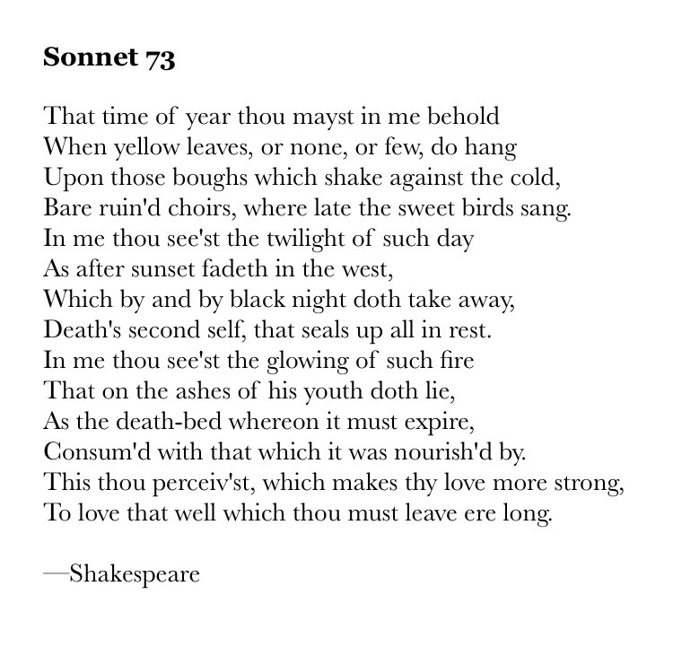 Joseph Fasano tweet media