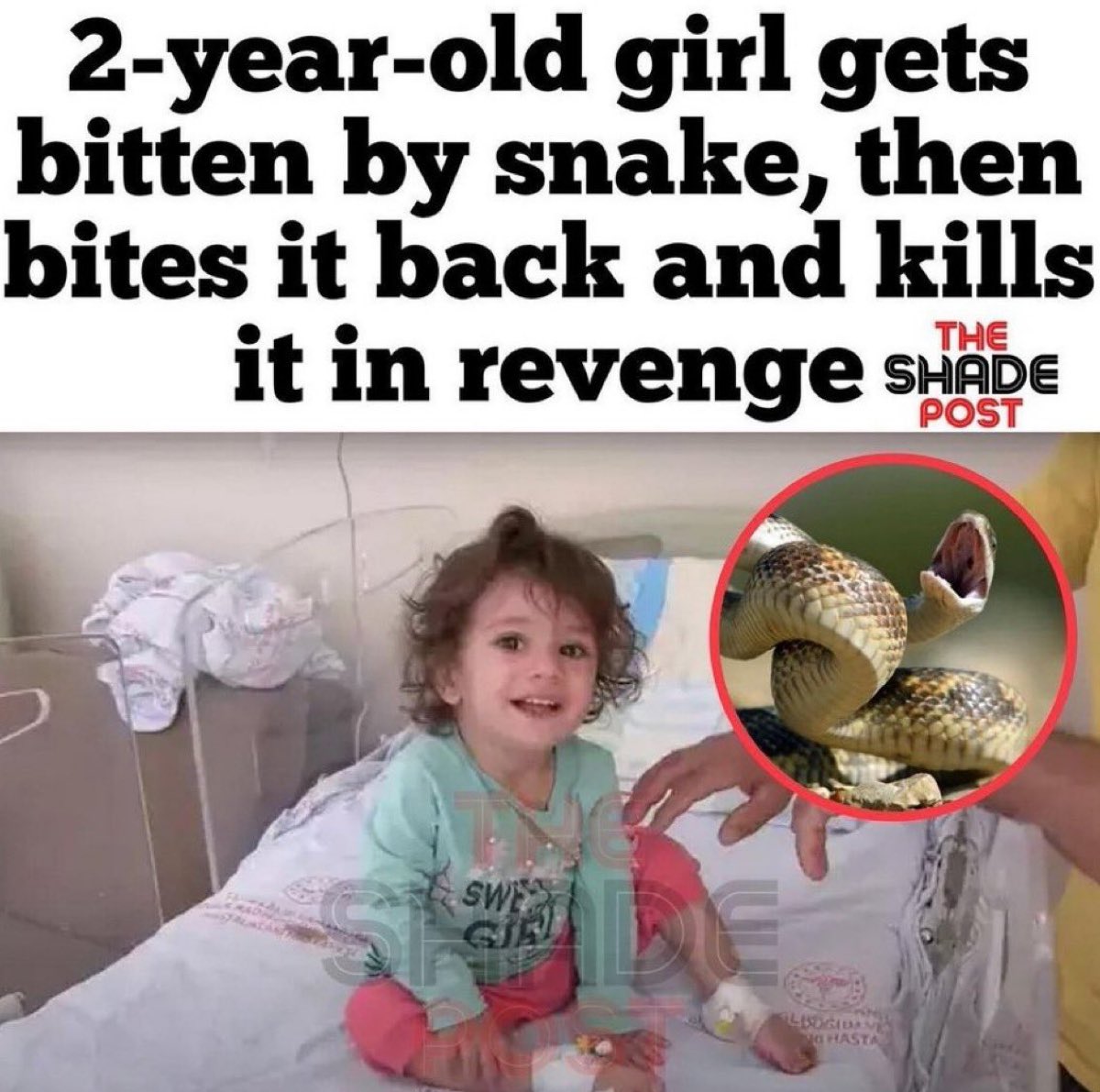 The Watcher 🌎 tweet media