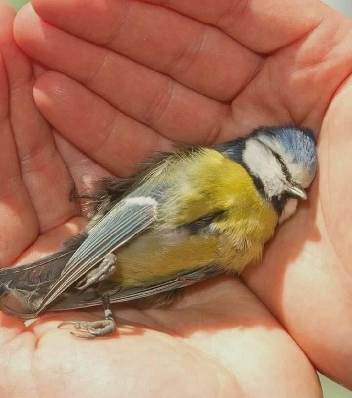 sorrrowfull's tweet image. 