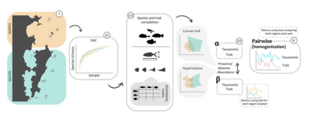consbiog's tweet photo. Are reef #fishcommunities changing in response to #climatechange?
This new study investigates the biotic #homogenisation across an ecological #transitionzone 
https://t.co/ooR9sLmmPr https://t.co/rBcFPsQcTg
