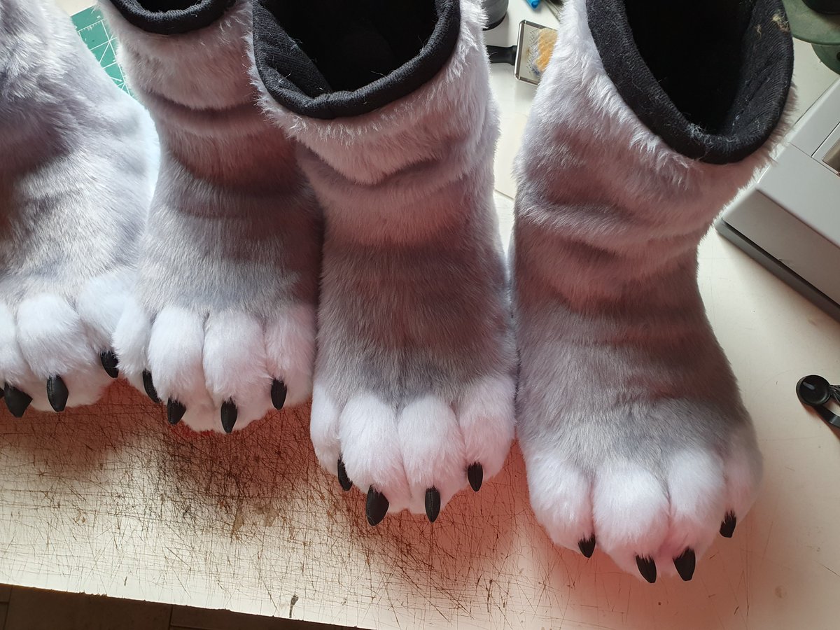Furry Machine 🇧🇷 tweet media