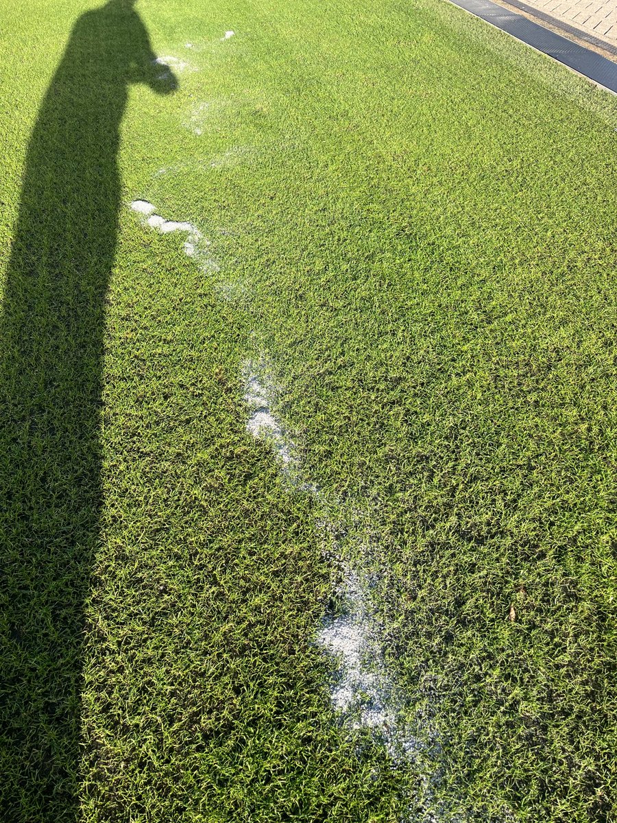 That is not fertiliser, RIP whom ever you were