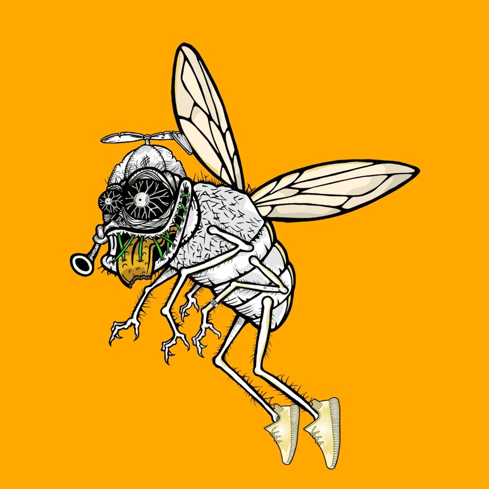 Funky Flies tweet media